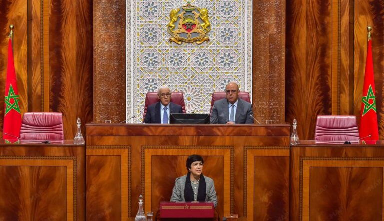 القضايا المتعلقة بالتأديب المالي تتعلق بأخطاء تدبيرية ولا تمس نزاهة الأشخاص المعنيين بها (السيدة العدوي)