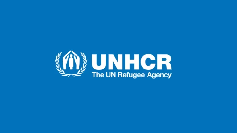 مجموعة من الدول تدعو مفوضية اللاجئين إلى إطلاع سكان مخيمات تندوف على “خيارات الحلول الدائمة” في ضوء القرار الأممي 2797
